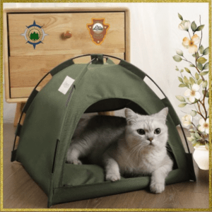 Cat Tent