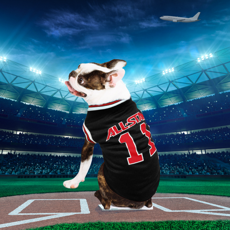 Dog Vest Luxury Spring and Summer