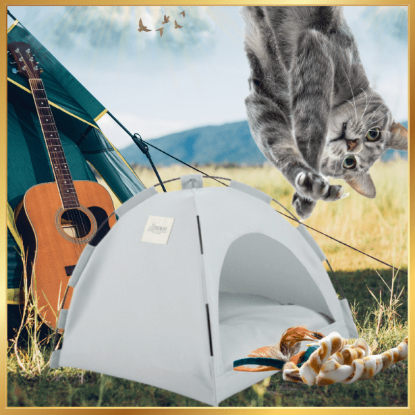 Cat Tent for Outdoor and Indoor