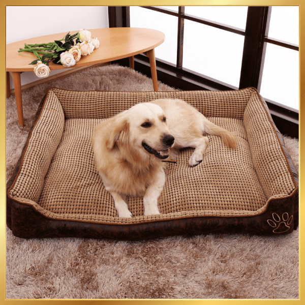 Dog Bed