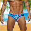 Swim Trunks Tropical Print