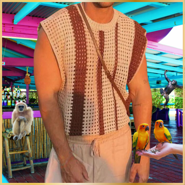 Striped Transparent Knitted Top