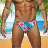 Swim Trunks Tropical Print